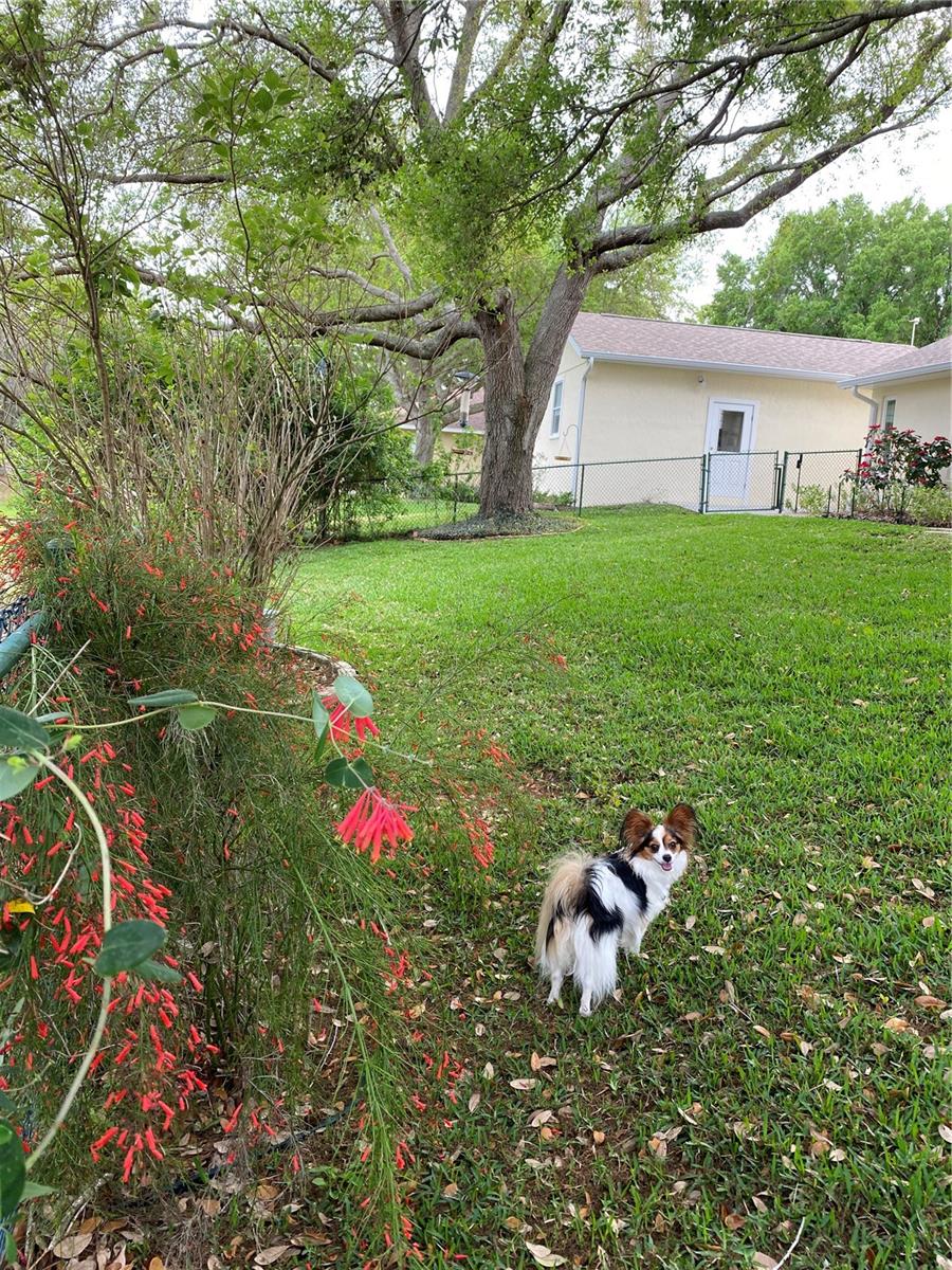 9224 WATER MEADOW CT