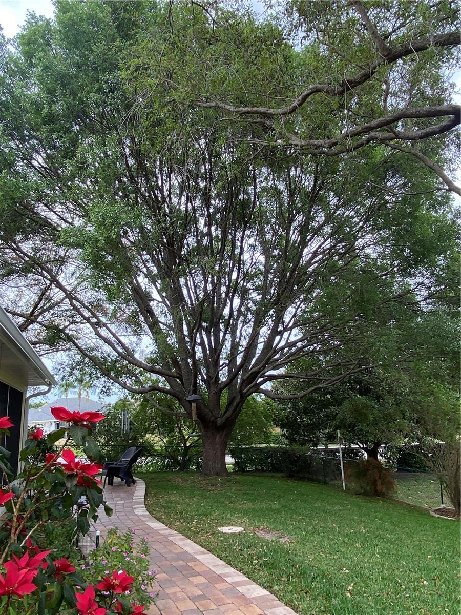 9224 WATER MEADOW CT