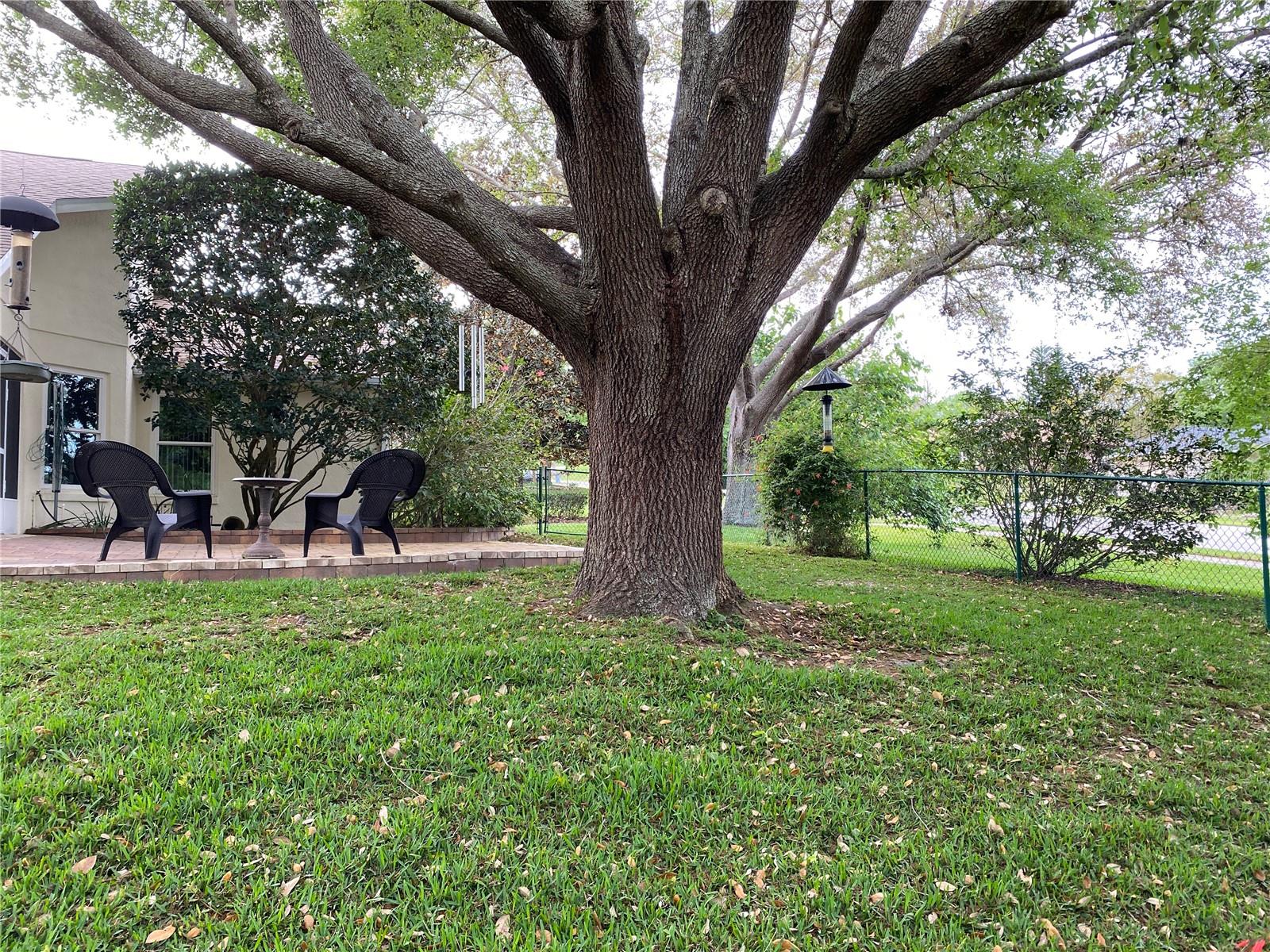 9224 WATER MEADOW CT