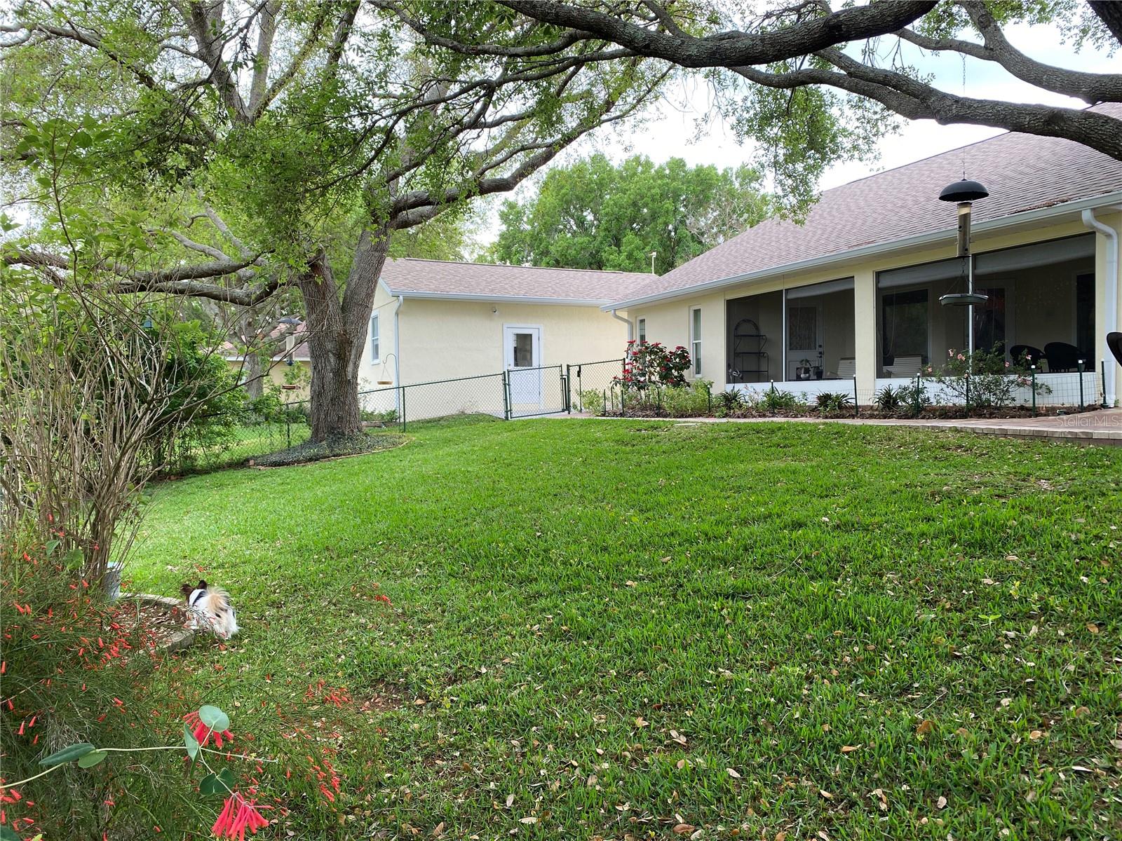 9224 WATER MEADOW CT