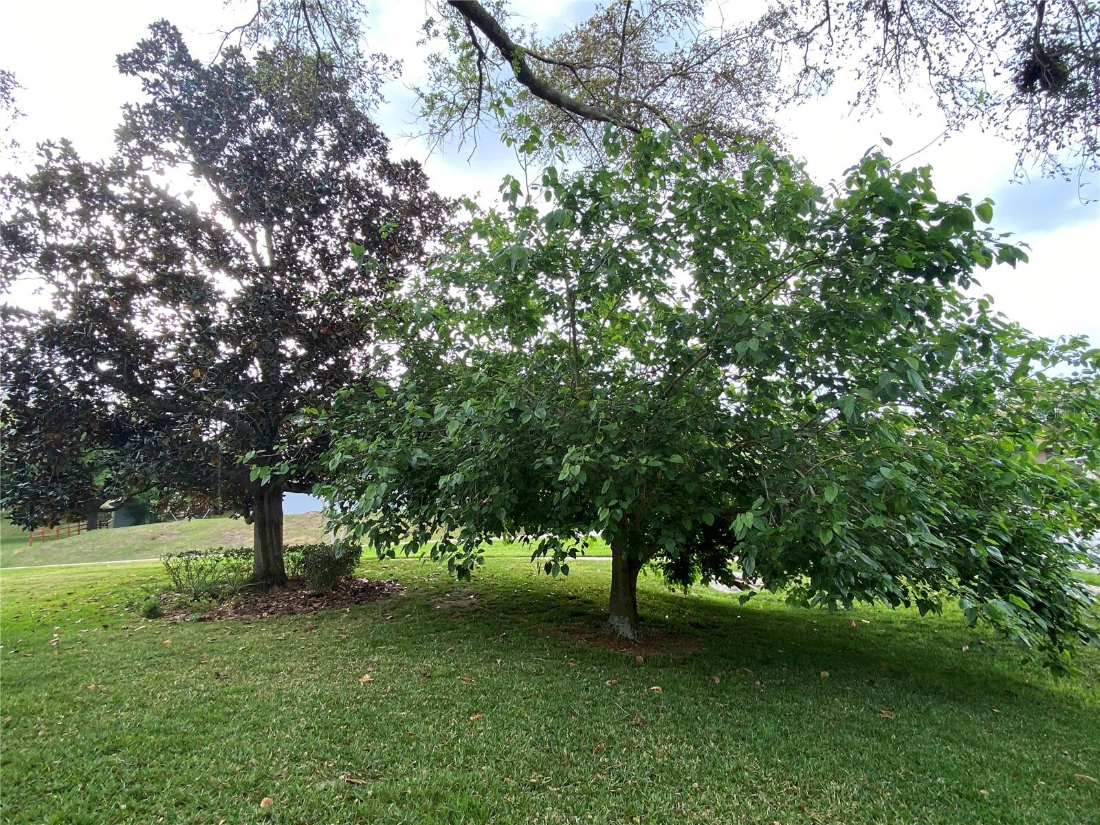 9224 WATER MEADOW CT