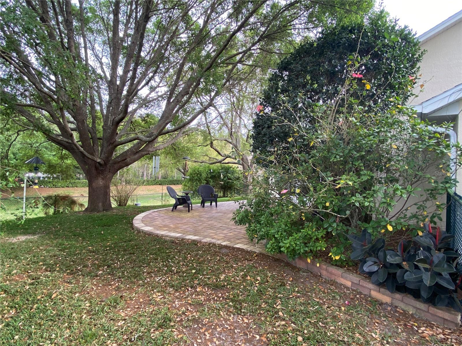 9224 WATER MEADOW CT