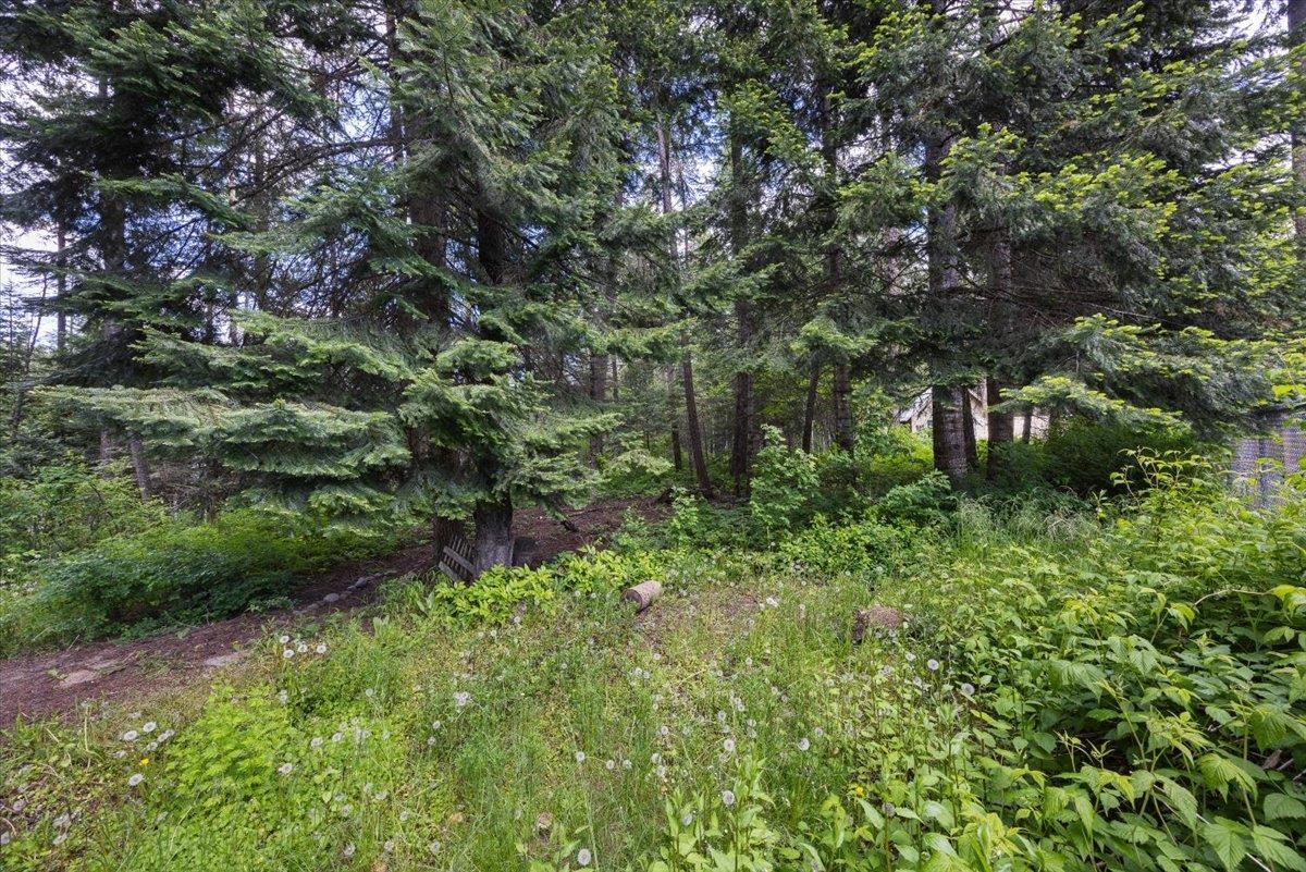 501 Quail Loop