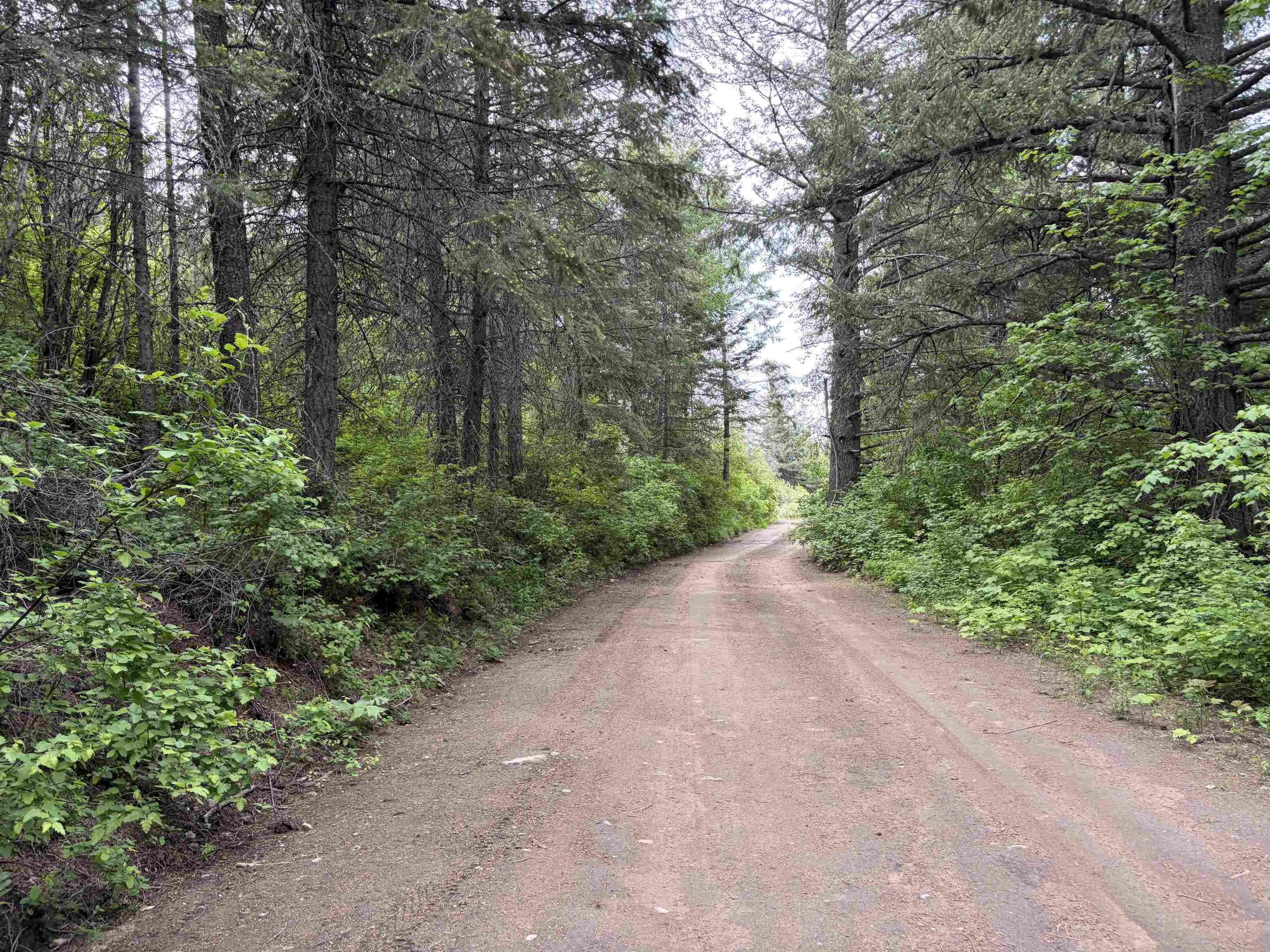 NKA Lookout Rd