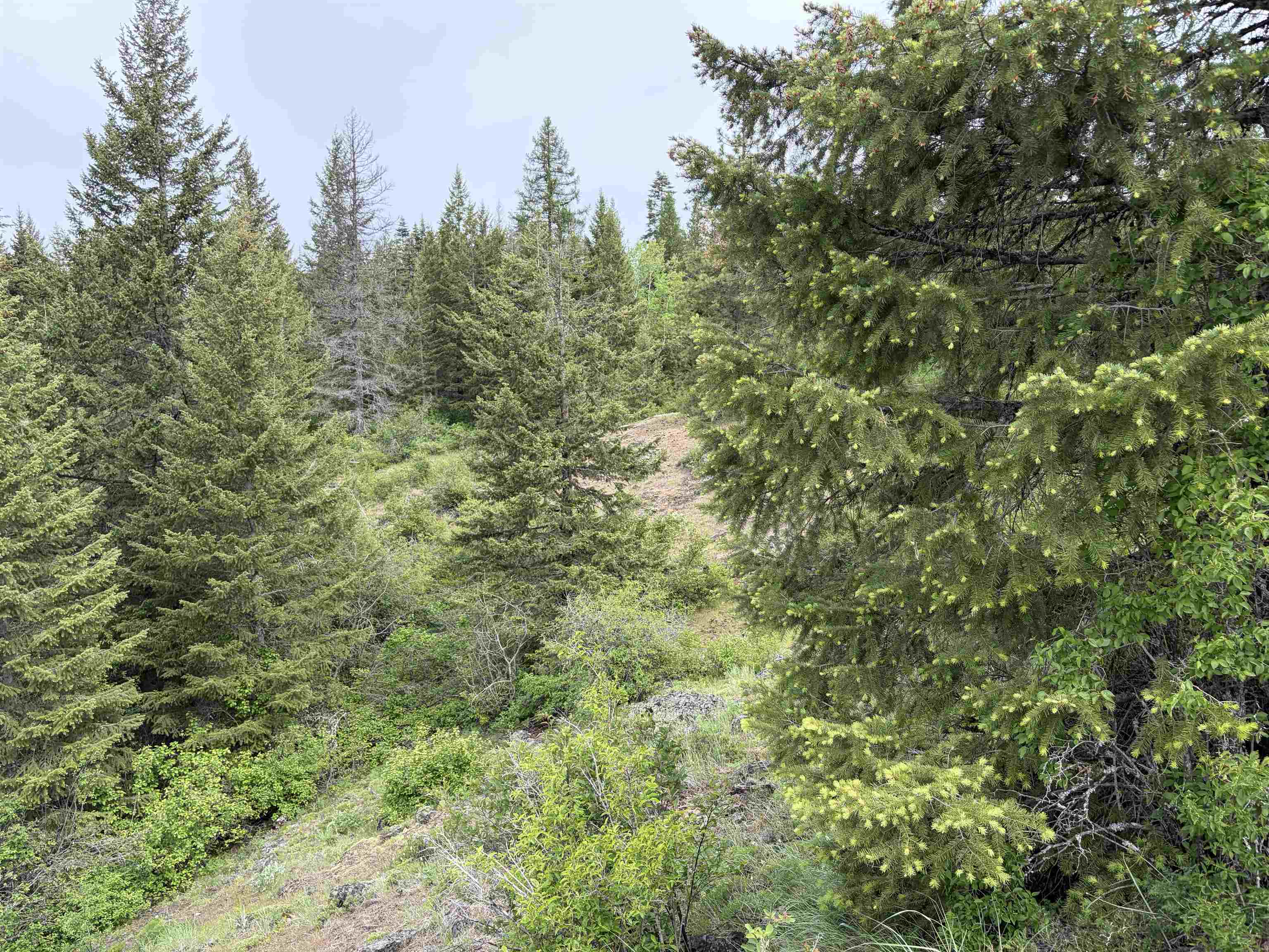 NKA Lookout Rd