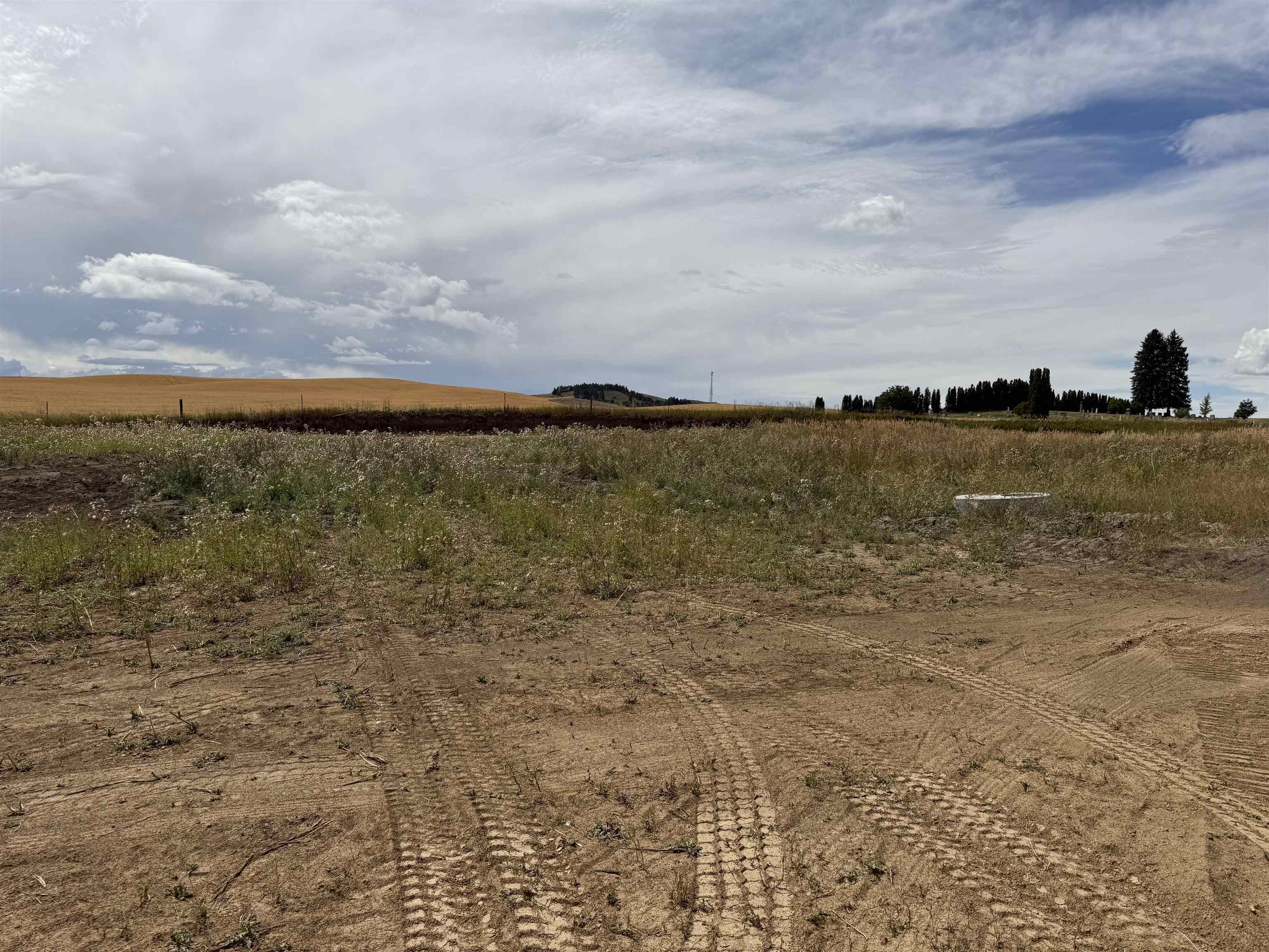 520 Davisadero (Lot only) St