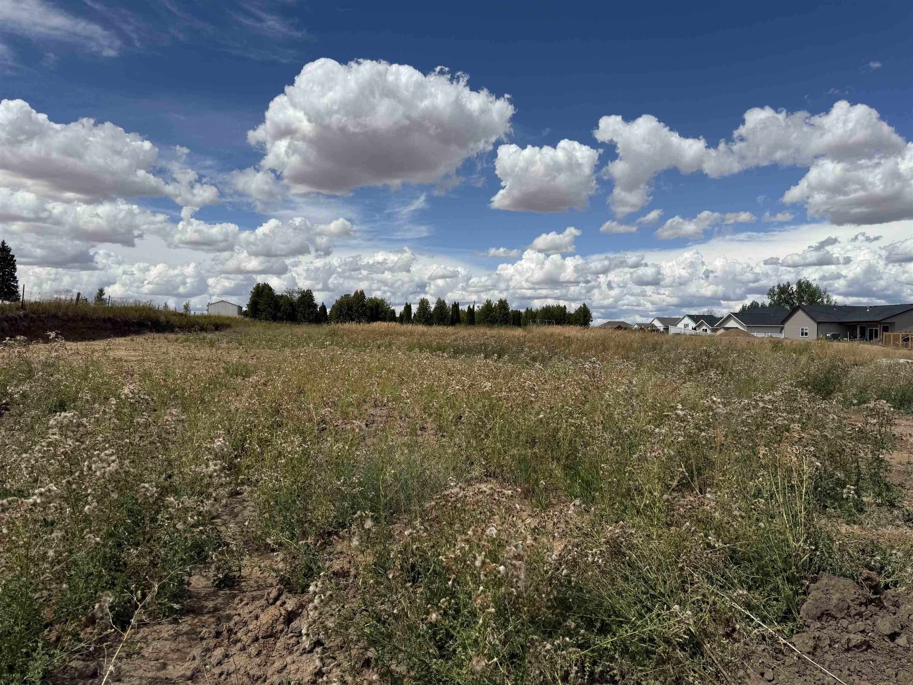 520 Davisadero (Lot only) St