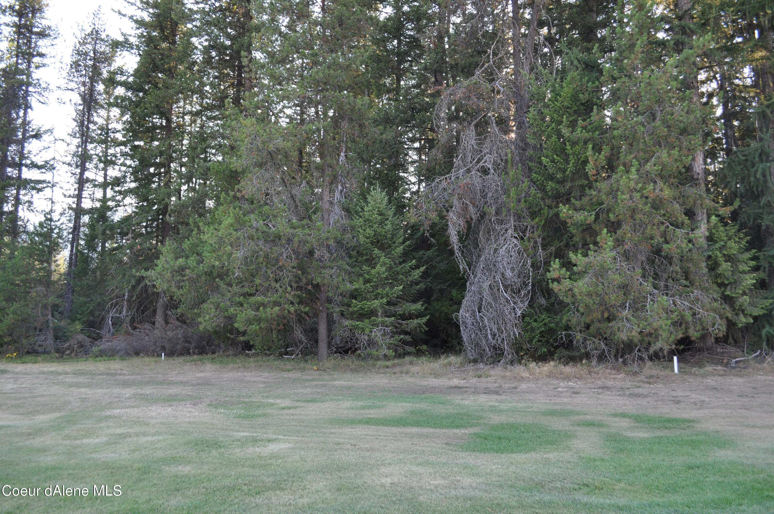Blk 3 Lot 3 Priest Lake Golf Estates