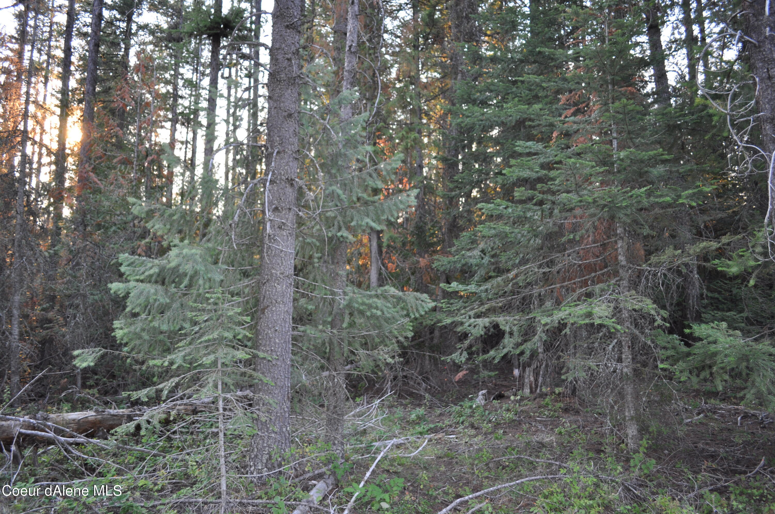 Blk 3 Lot 3 Priest Lake Golf Estates