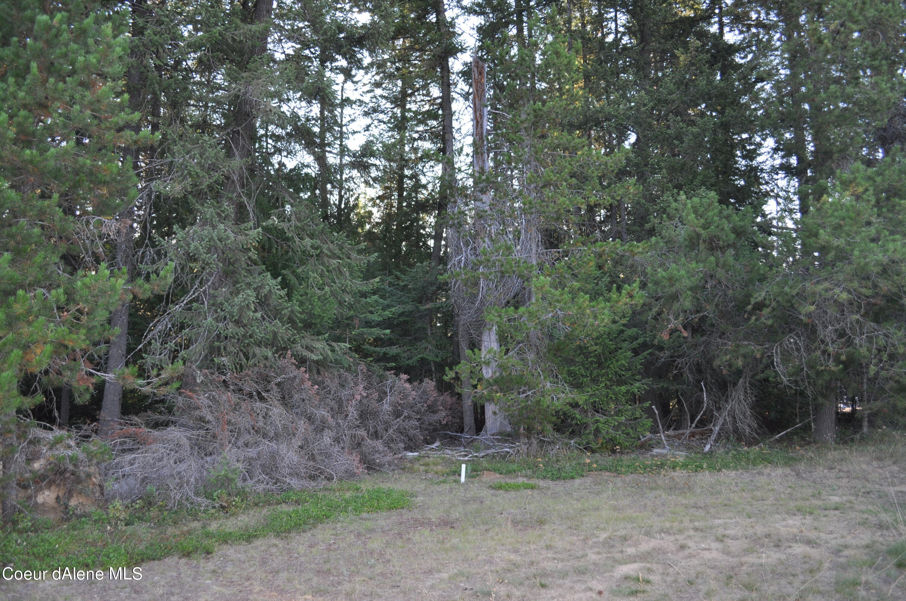 Blk 3 Lot 3 Priest Lake Golf Estates