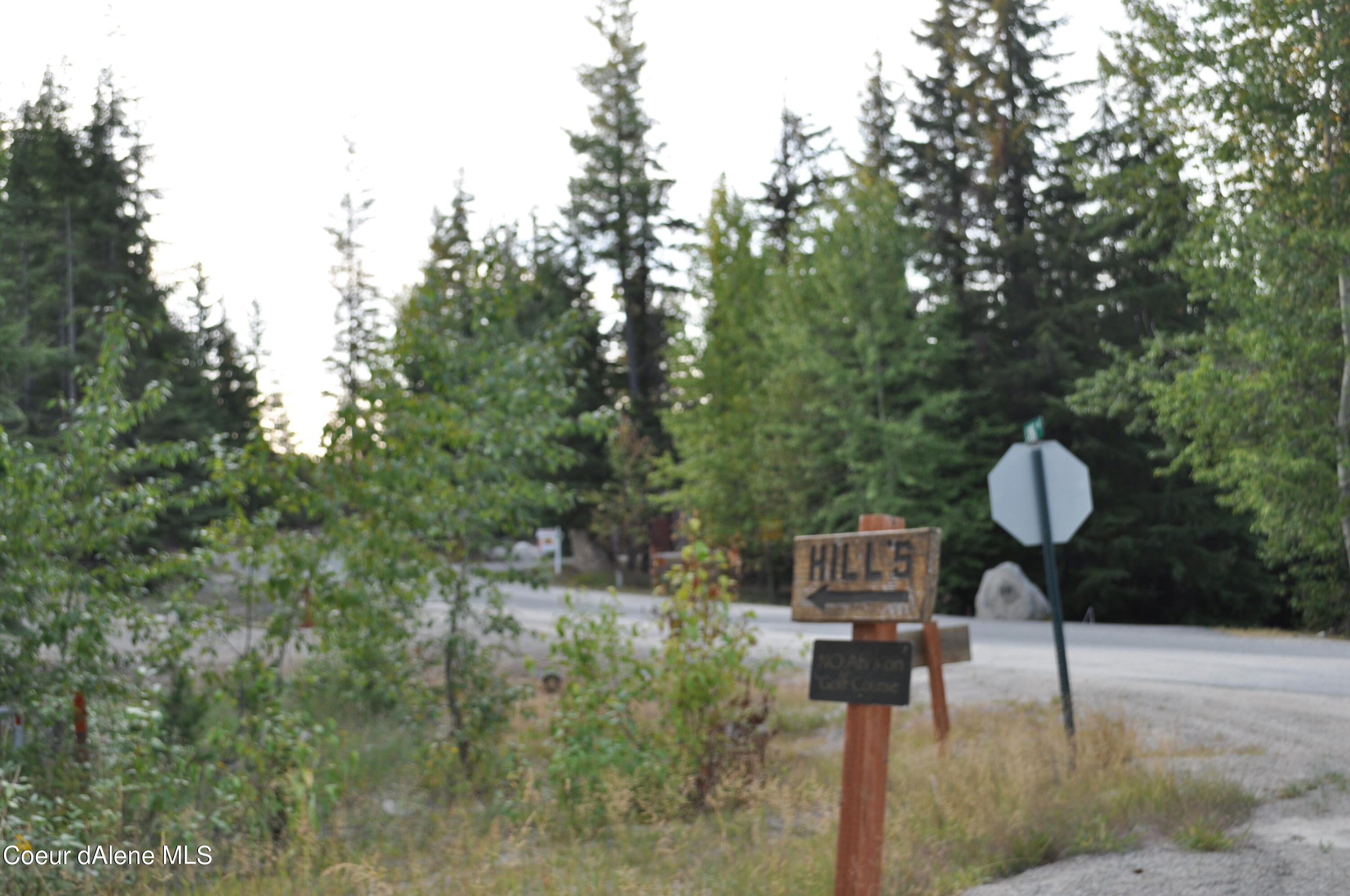 Blk 3 Lot 3 Priest Lake Golf Estates