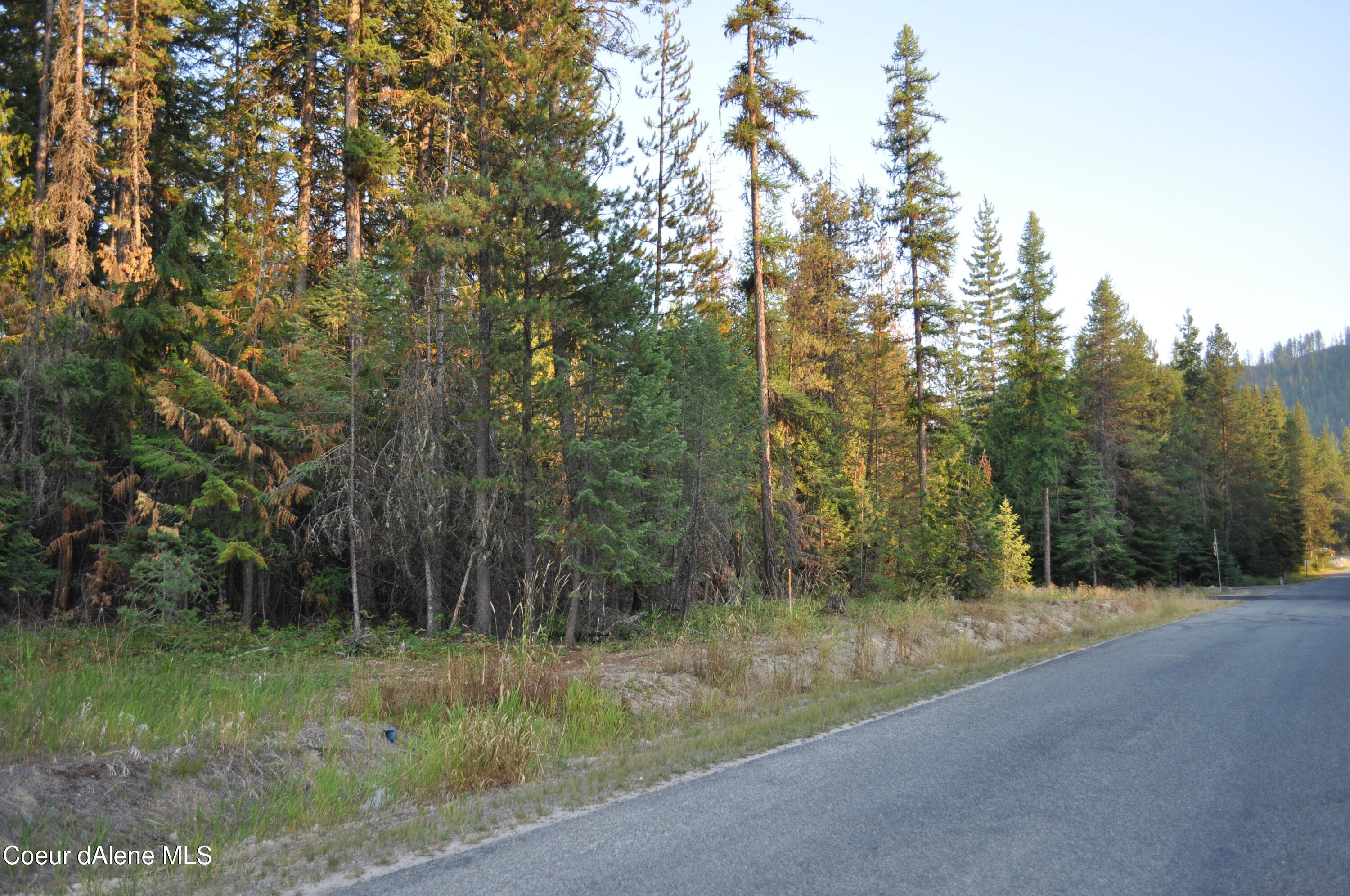 Blk 3 Lot 3 Priest Lake Golf Estates