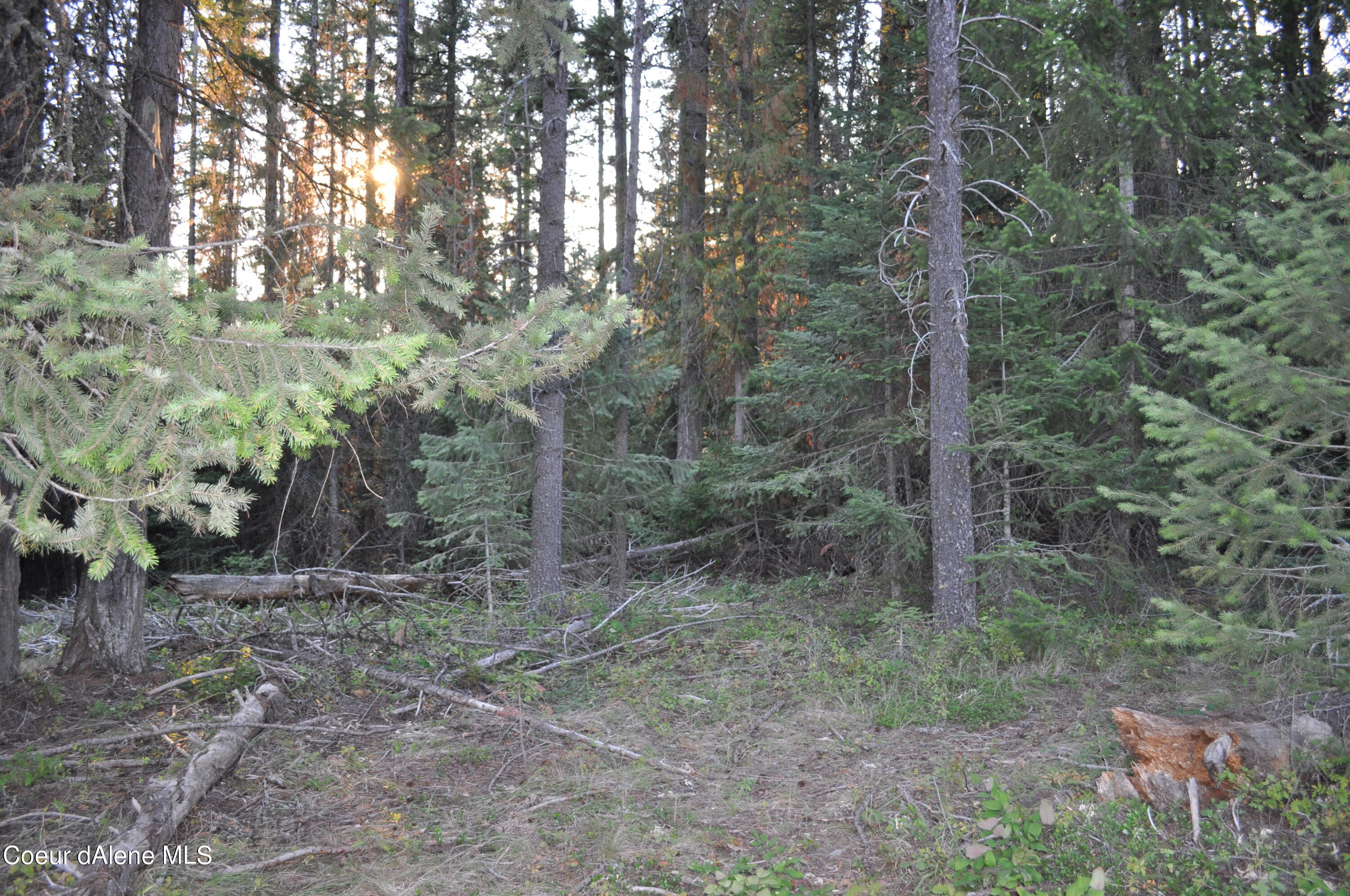 Blk 3 Lot 3 Priest Lake Golf Estates