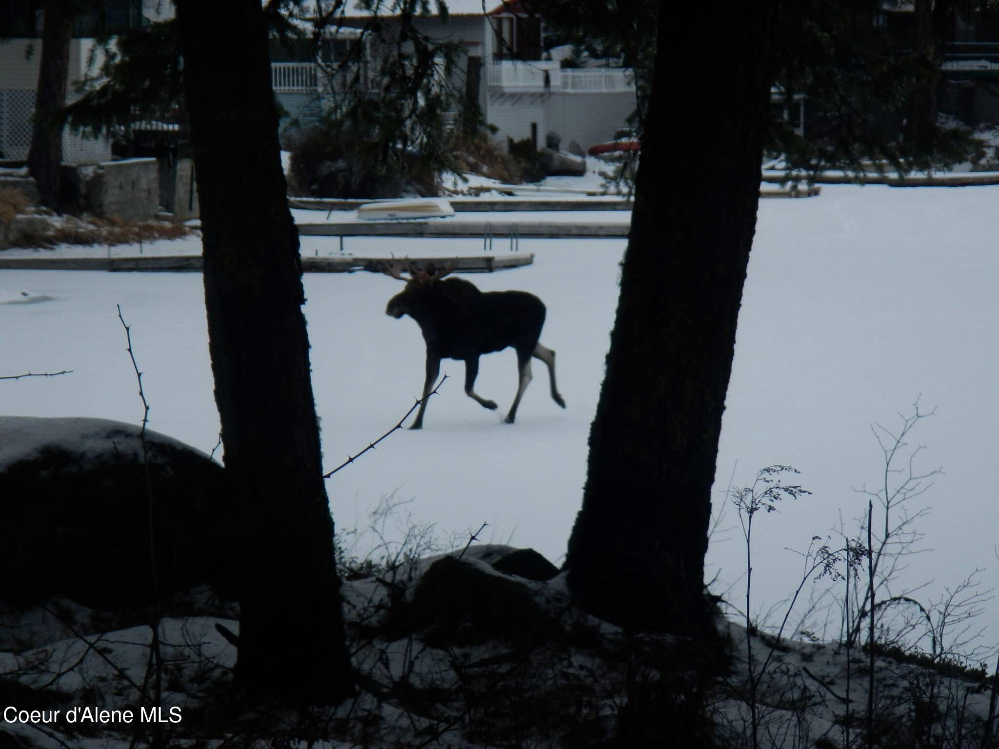 50 Poirier rd
