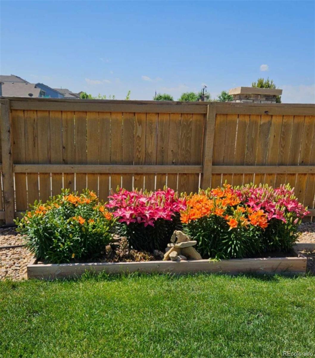 1559 Sierra Plaza Street