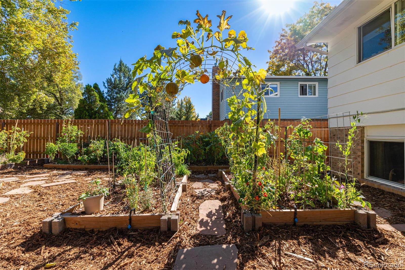 1316 S Francis Street