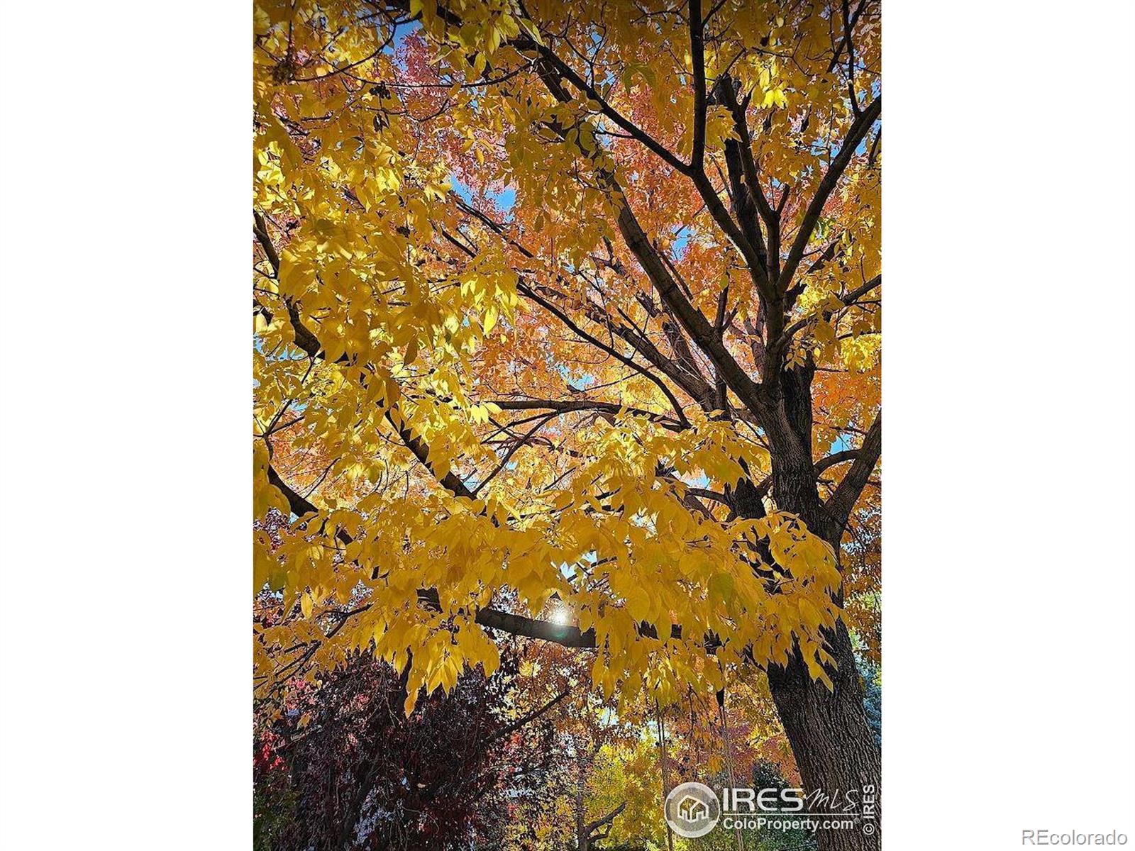 679 W Sandbar Circle