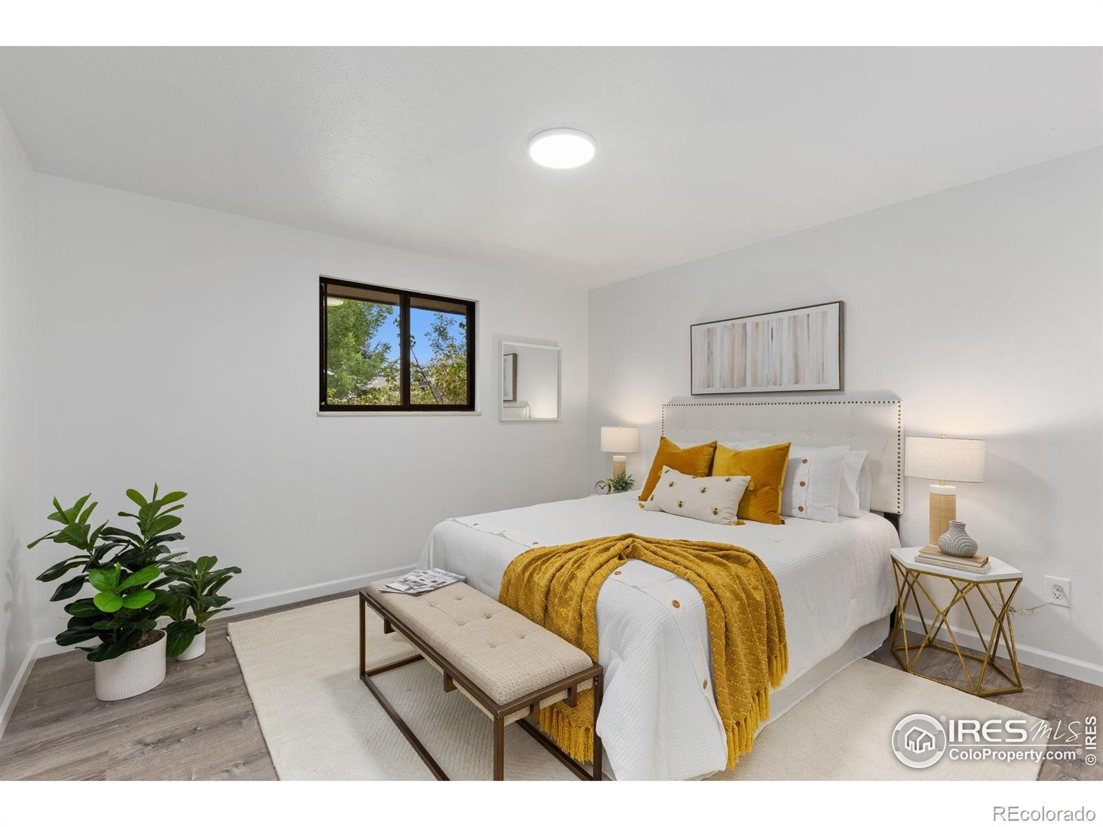 530 Mount Evans Street