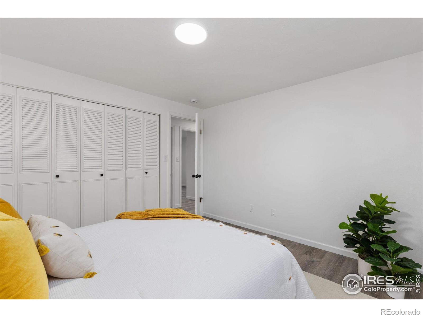 530 Mount Evans Street