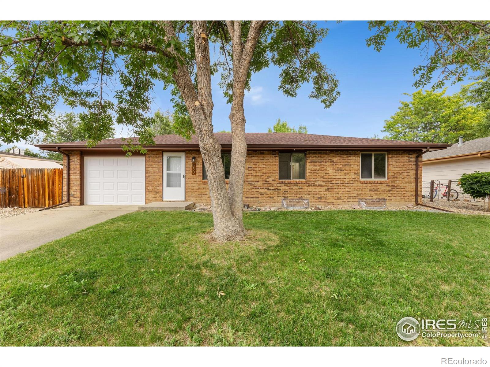 530 Mount Evans Street