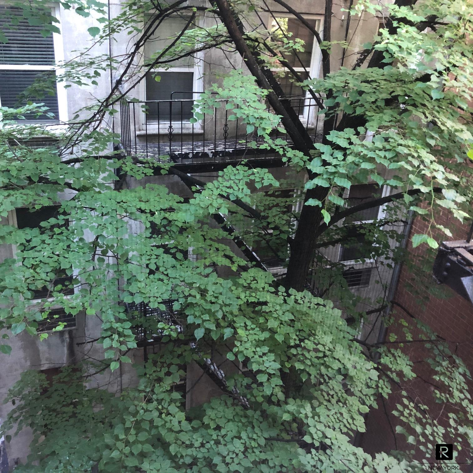 323 E 21st Street 6-M