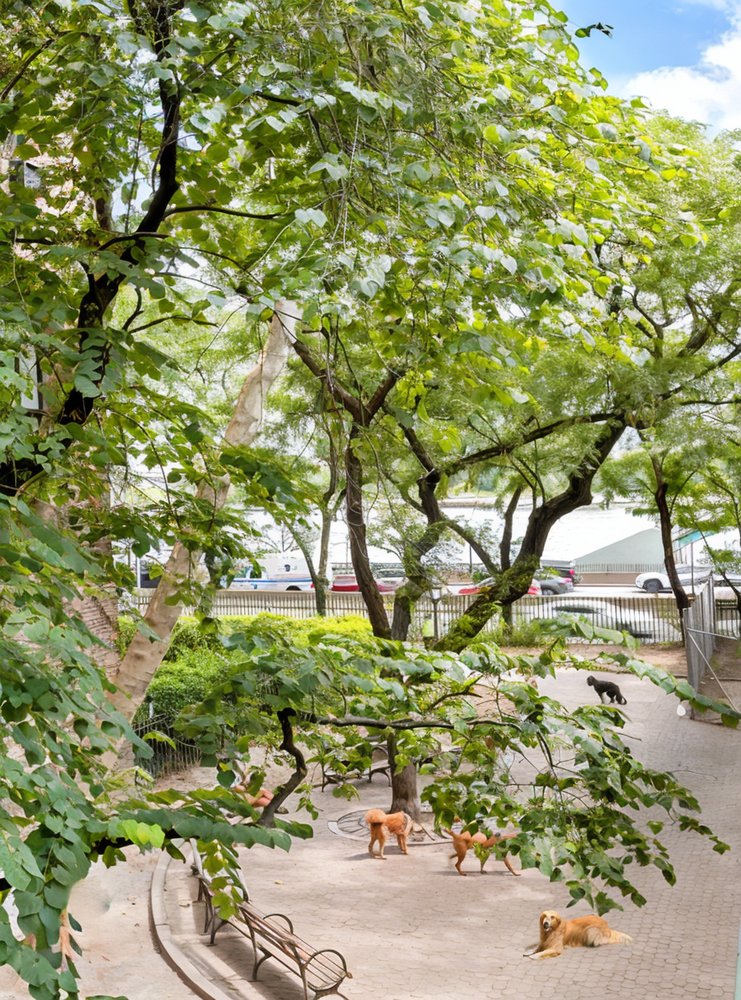 425 E 51ST Street 5G