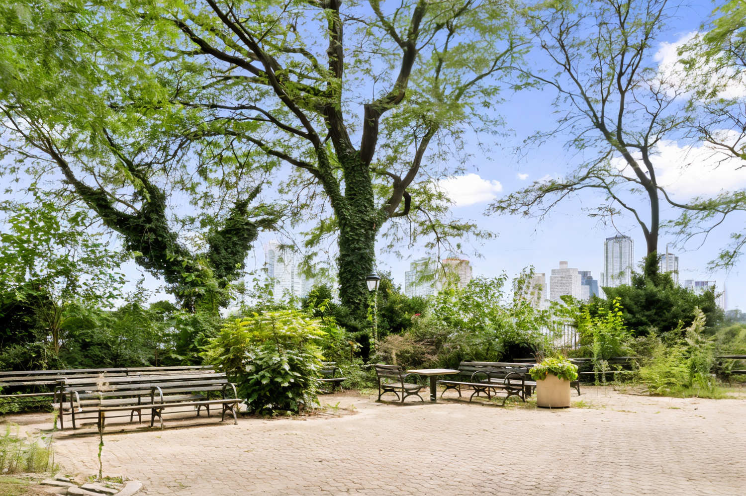 425 E 51ST Street 5G