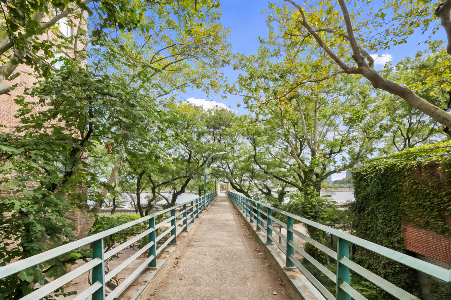 425 E 51ST Street 5G