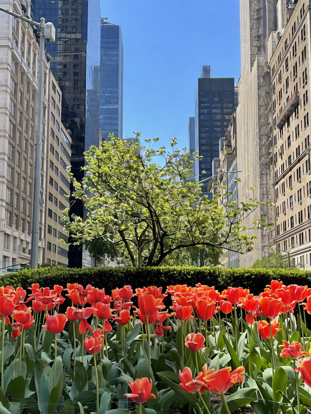 115 E 61ST Street PH