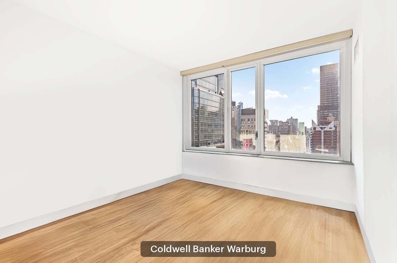 250 E 53RD Street 3004