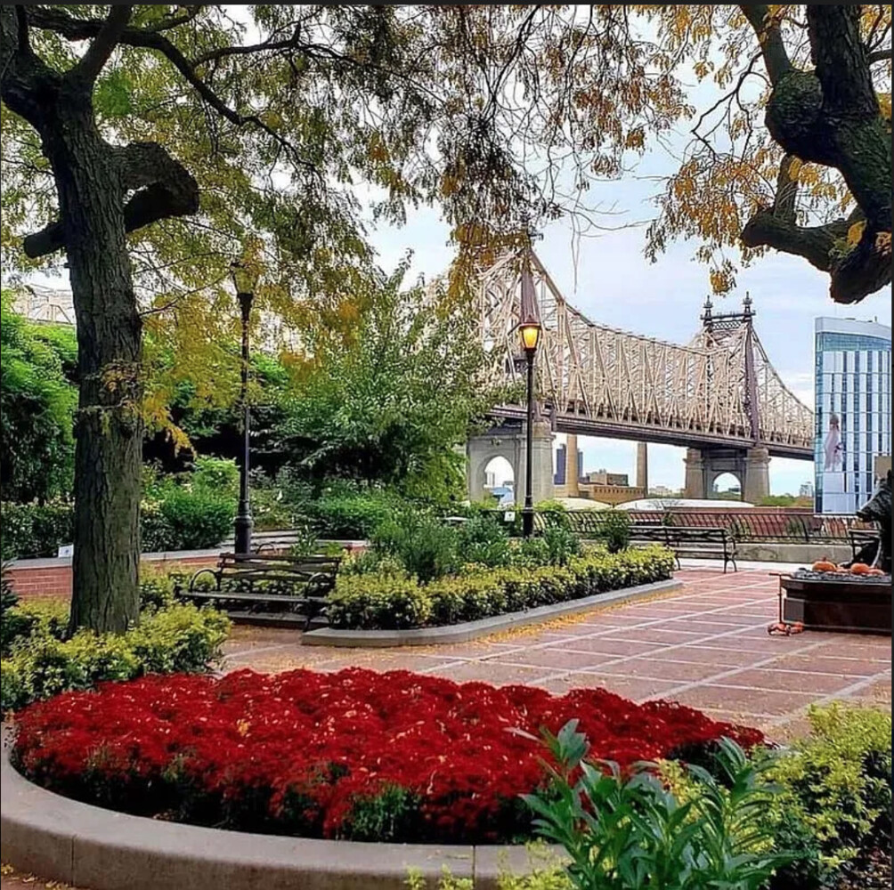 36 SUTTON Place S MAISONETTE