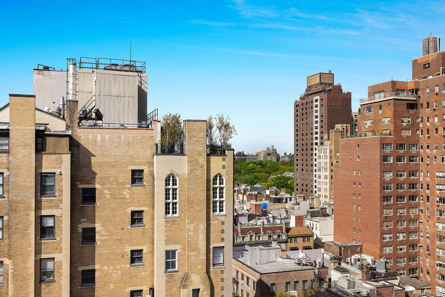 876 PARK Avenue 12S