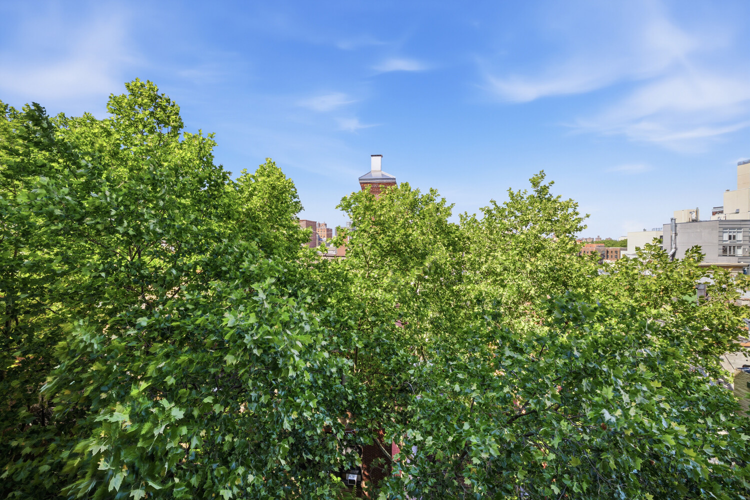 309 E 108TH Street 5C