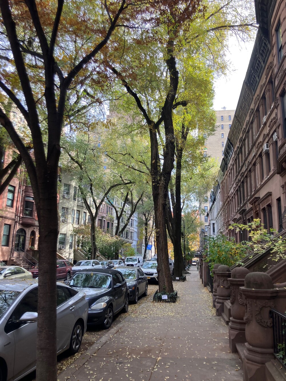 20 W 95TH Street 7/8