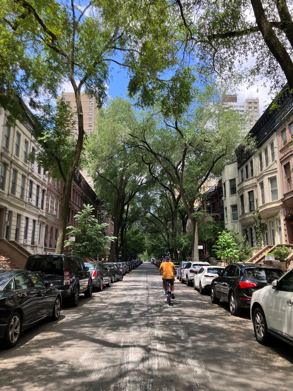 20 W 95TH Street 7/8