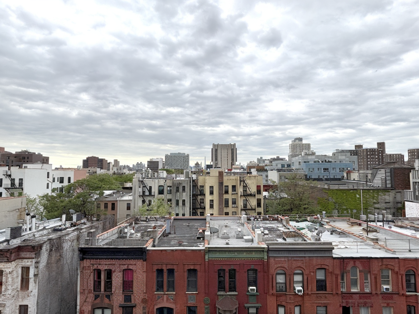161 W 133RD Street 5B
