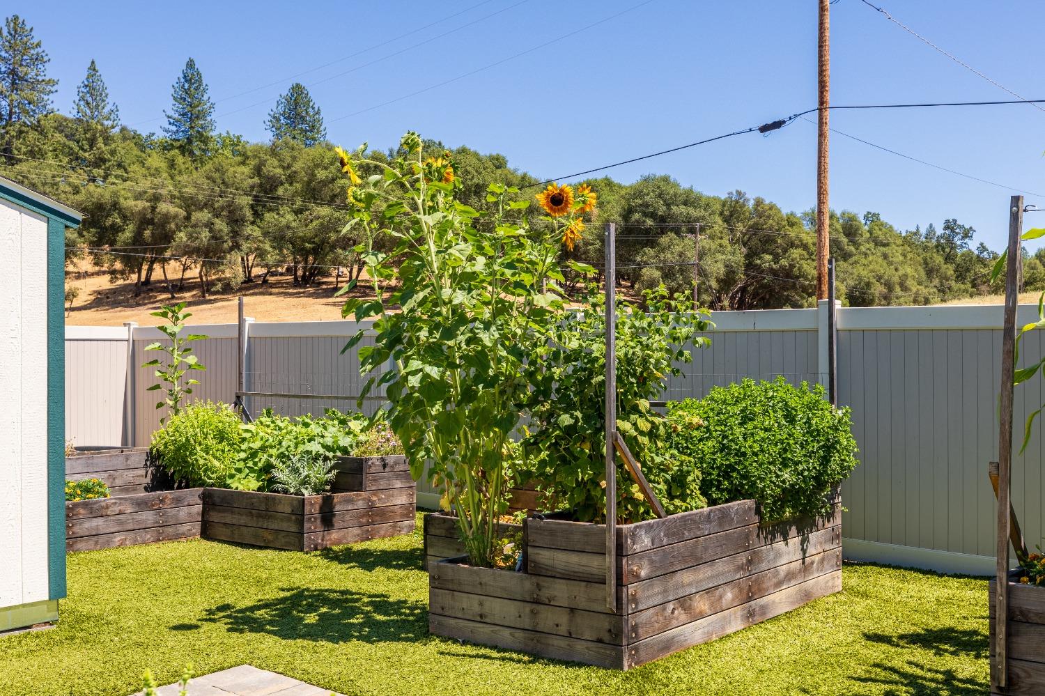 3401 Indian Creek Road