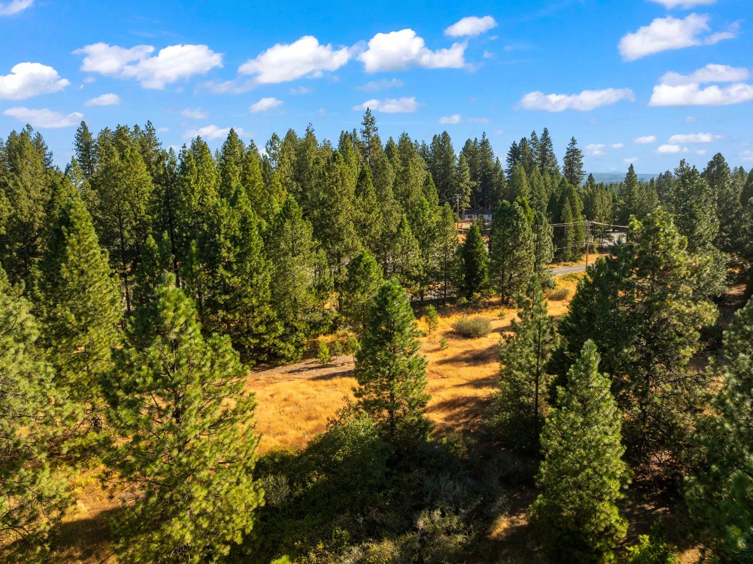 3131 Sierra Blanca Drive