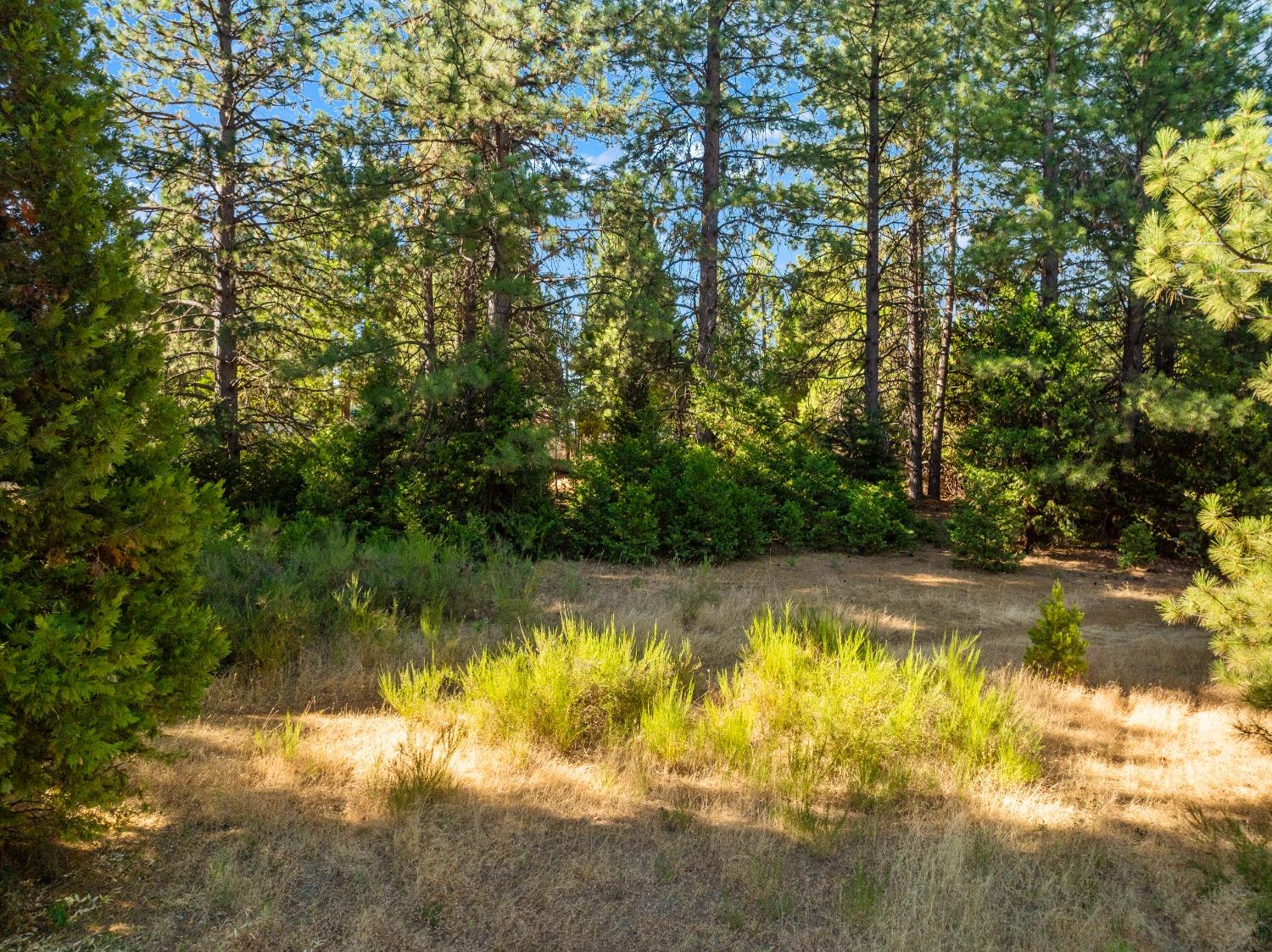 3131 Sierra Blanca Drive