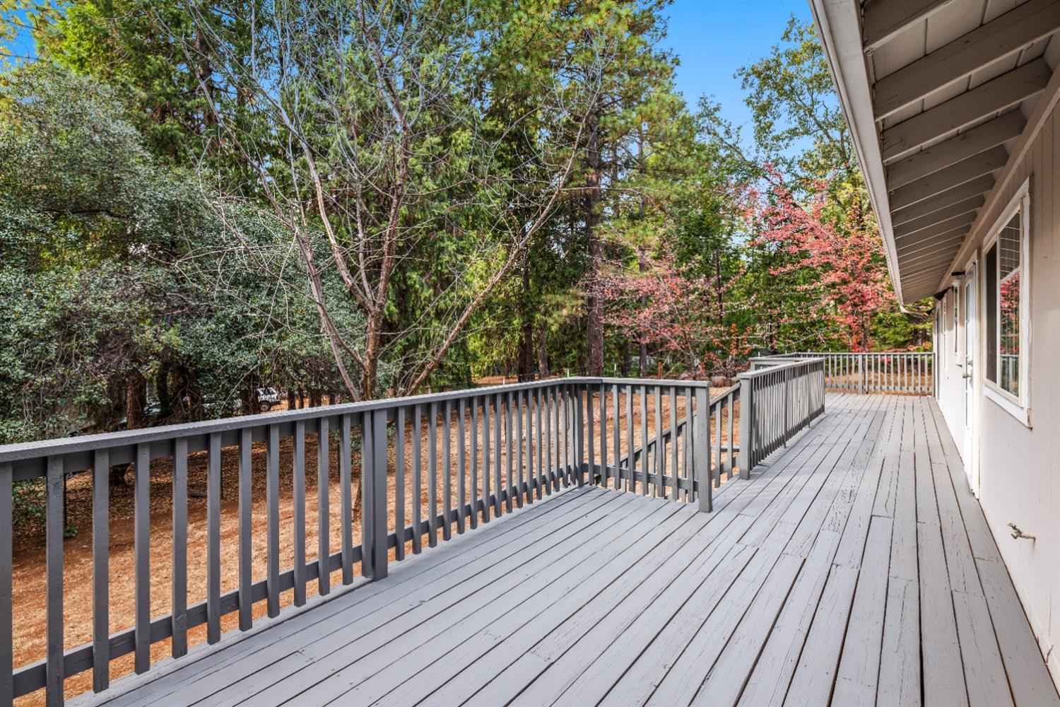 5446 Cold Springs Drive