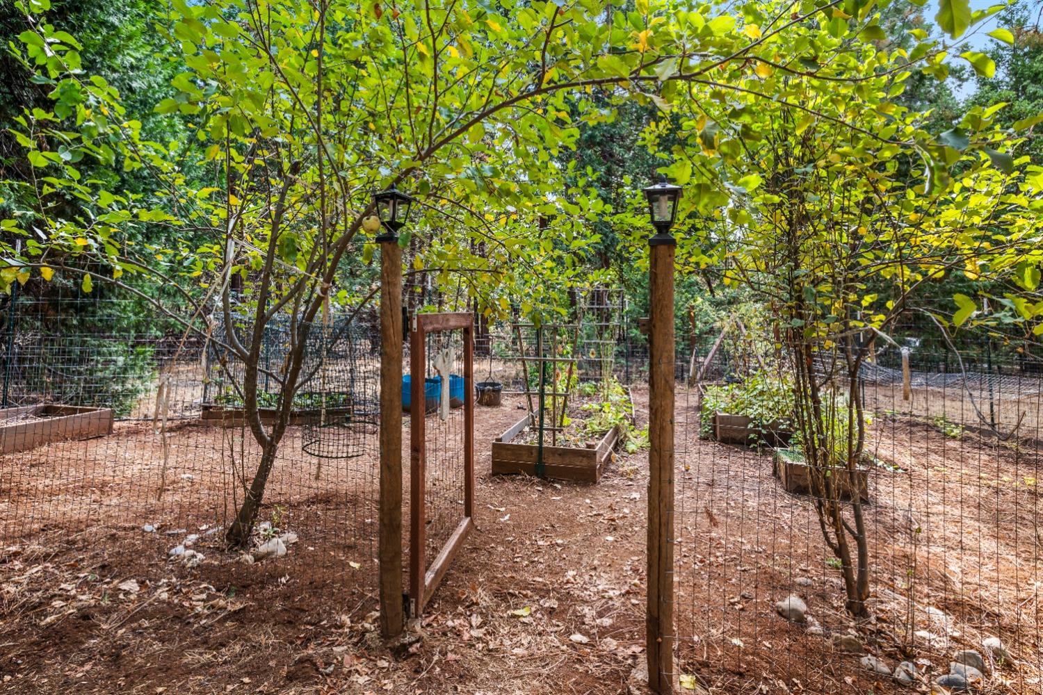 5446 Cold Springs Drive