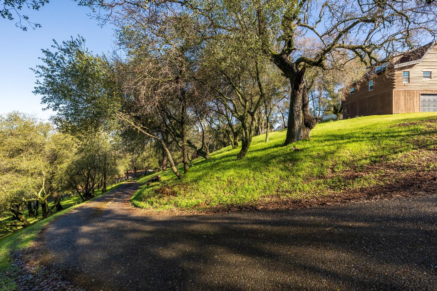 2203 Alpine View Drive