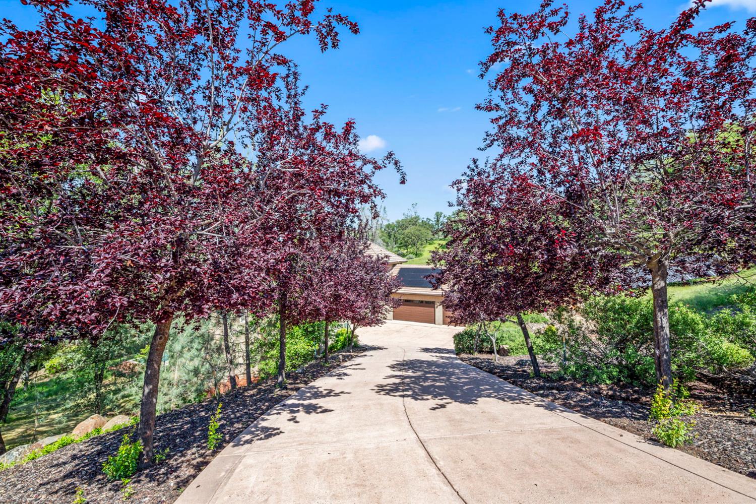 6439 Caddie Court