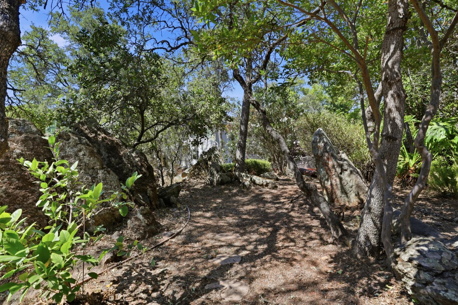 2873 King Edward Drive