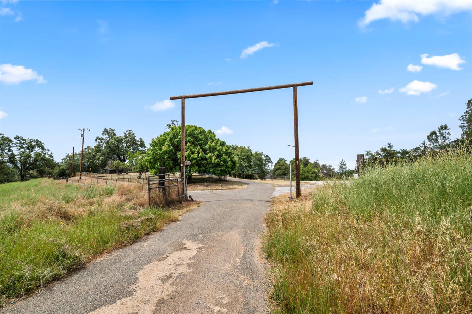 3700 Springer Road