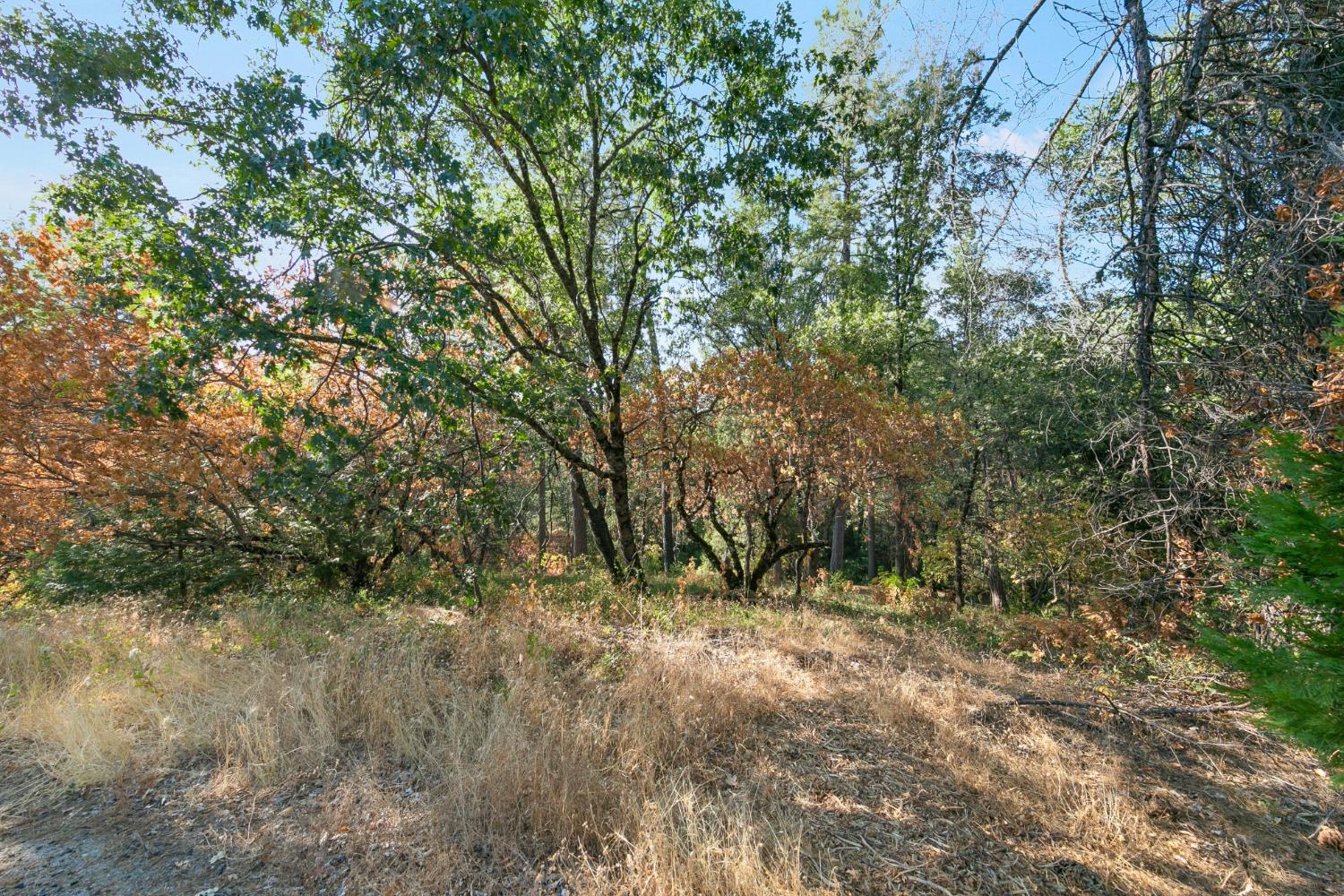 0 Sly Park Road