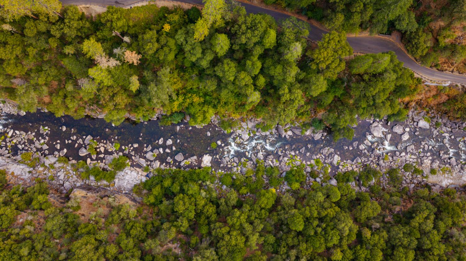 1800 Swansboro Road