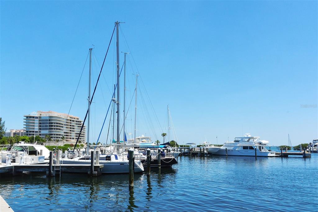 2339 HARBOUR OAKS DR