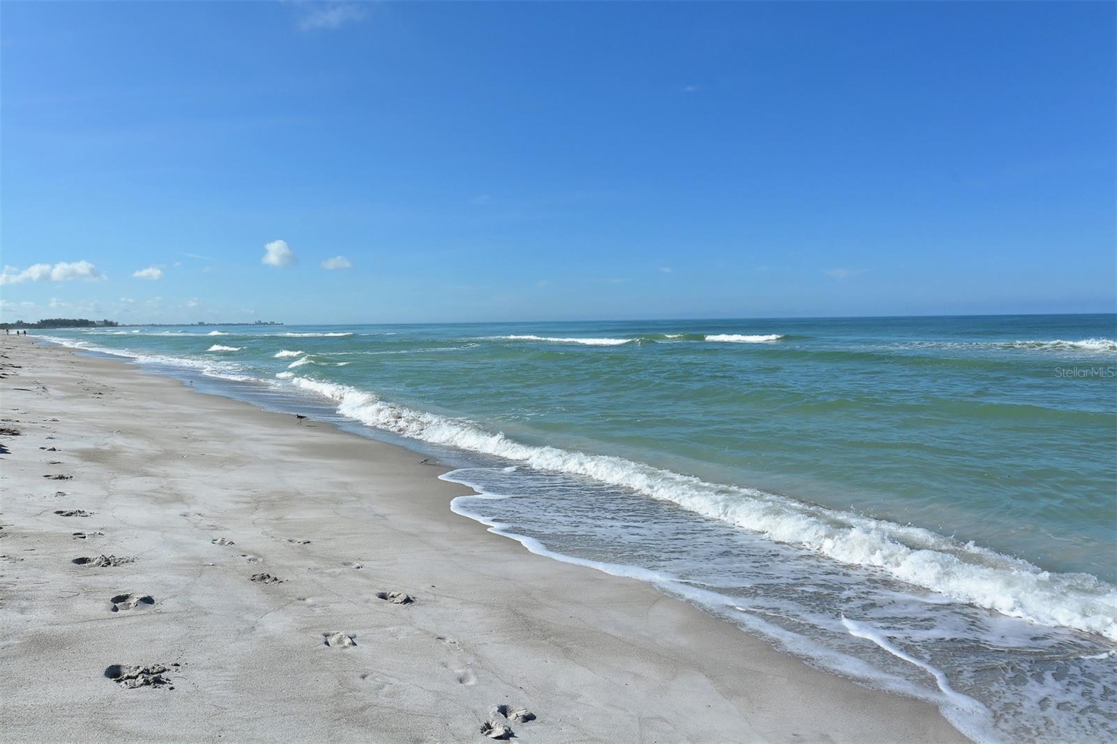 1000 LONGBOAT CLUB RD #604