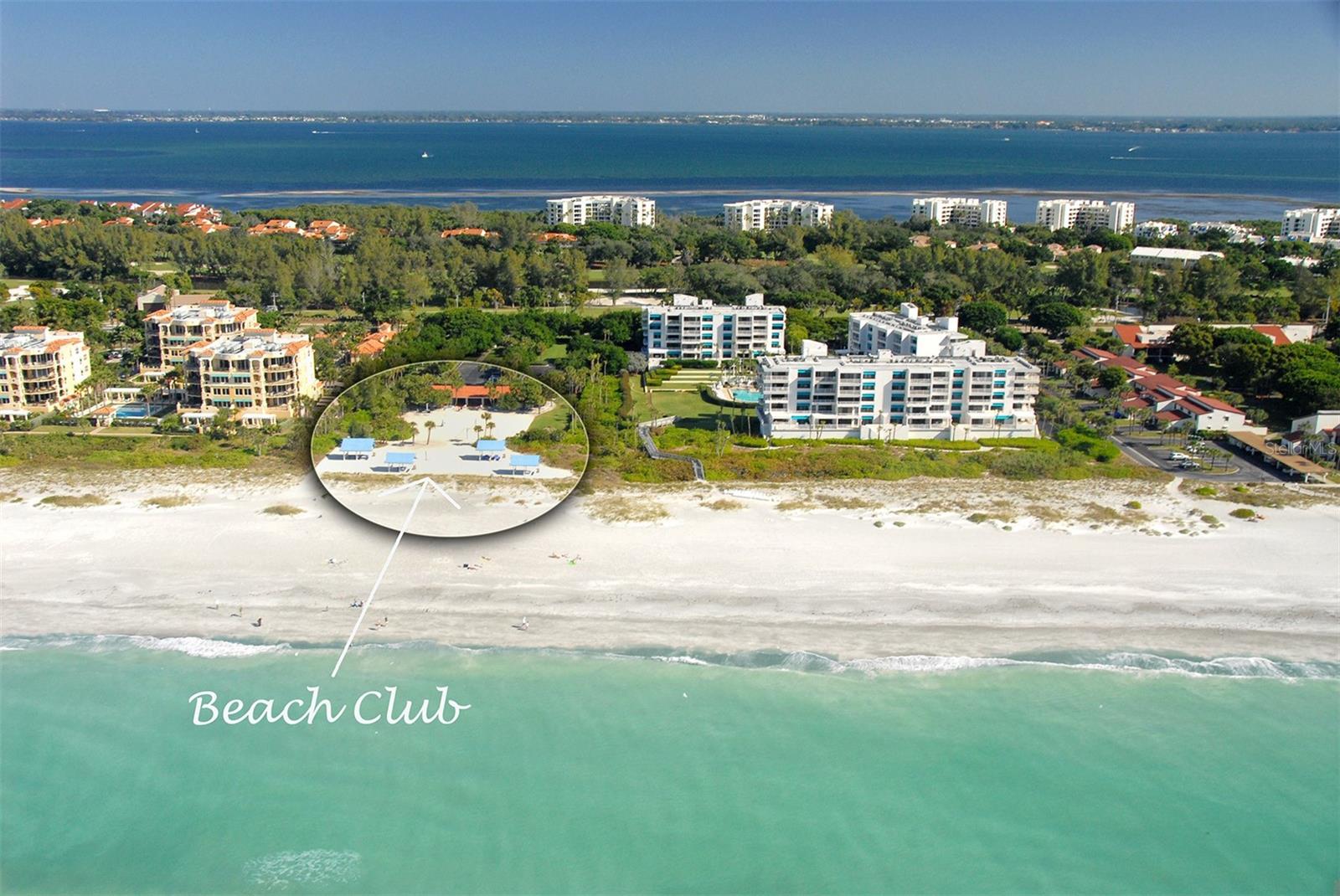 2217 HARBOURSIDE DR #302